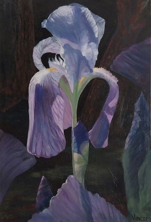 Iris